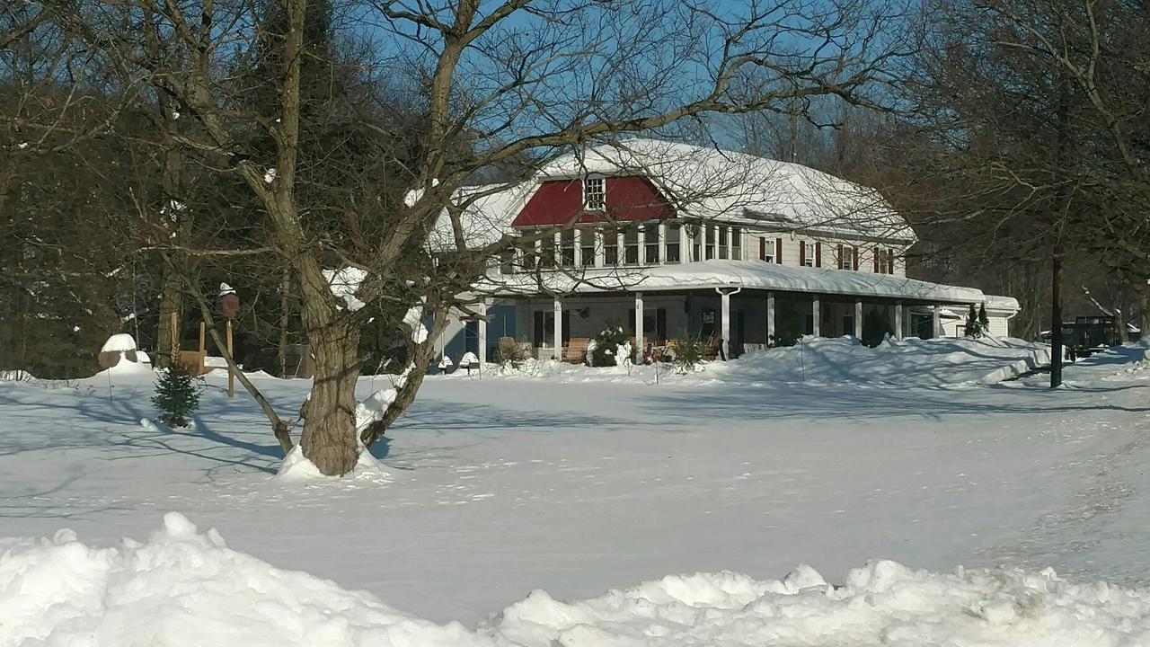 Beagle'S Bed & Breakfast Paxinos Dış mekan fotoğraf